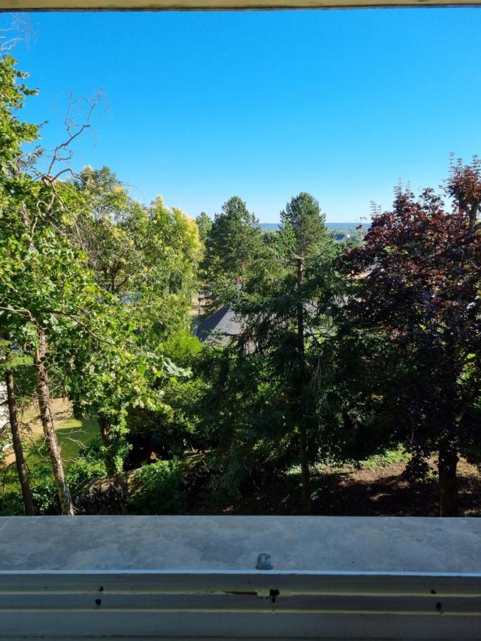 Location Saisonniere Appartement Situe A Saumur Kültér fotó